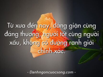 Từ xưa đến nay, đáng giận cùng đáng thương, người tốt cùng người xấu, không có đường ranh giới chính xác.