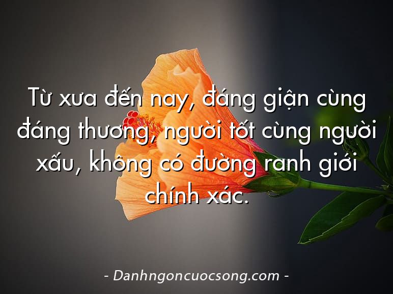 Từ xưa đến nay, đáng giận cùng đáng thương, người tốt cùng người xấu, không có đường ranh giới chính xác.
