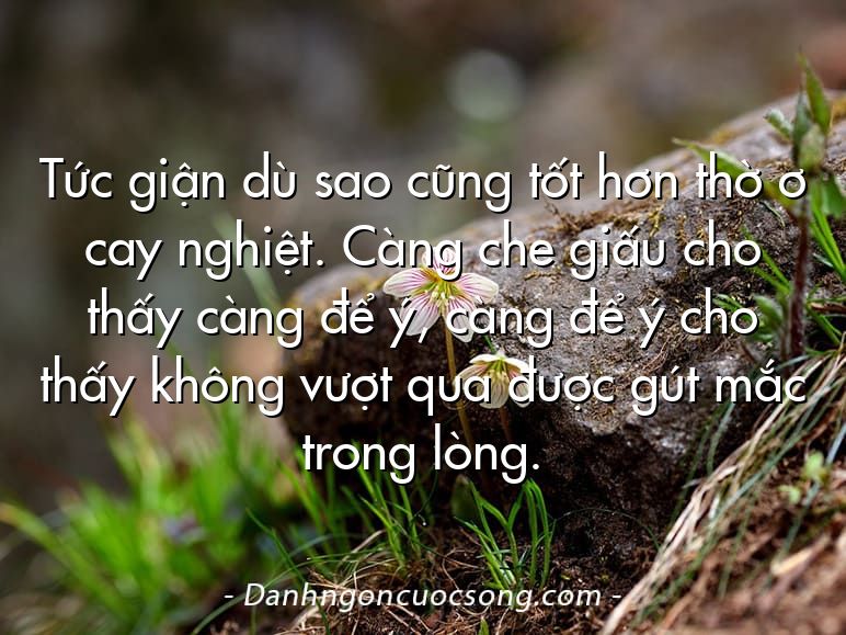 Tức giận dù sao cũng tốt hơn thờ ơ cay nghiệt. Càng che giấu cho thấy càng để ý, càng để ý cho thấy không vượt qua được gút mắc trong lòng.