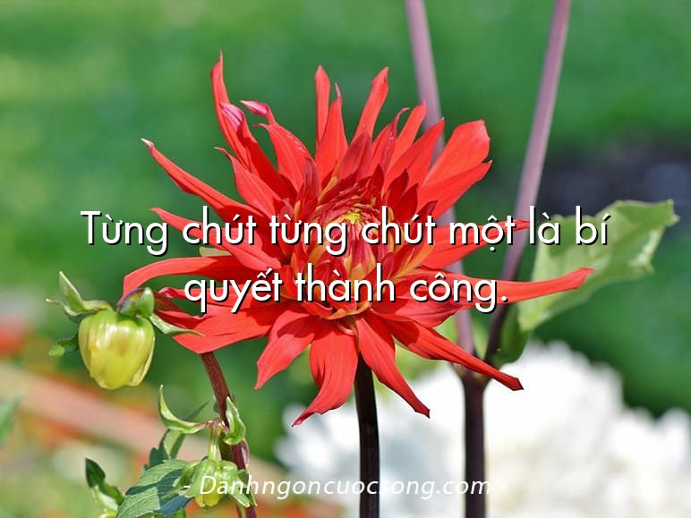 Từng chút từng chút một là bí quyết thành công.