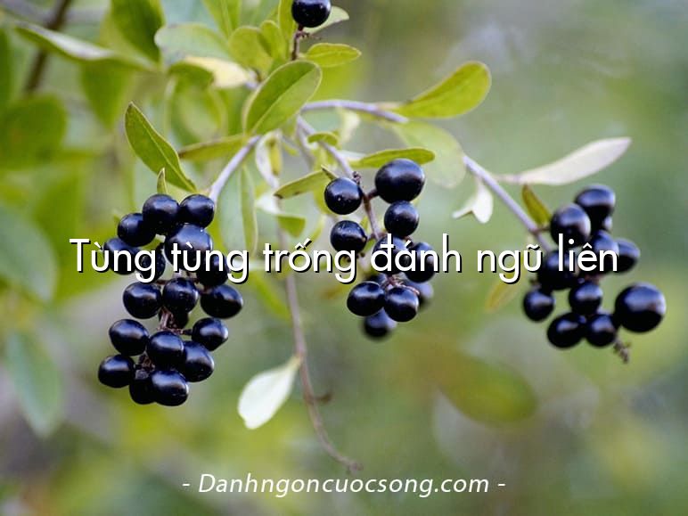 Tùng tùng trống đánh ngũ liên