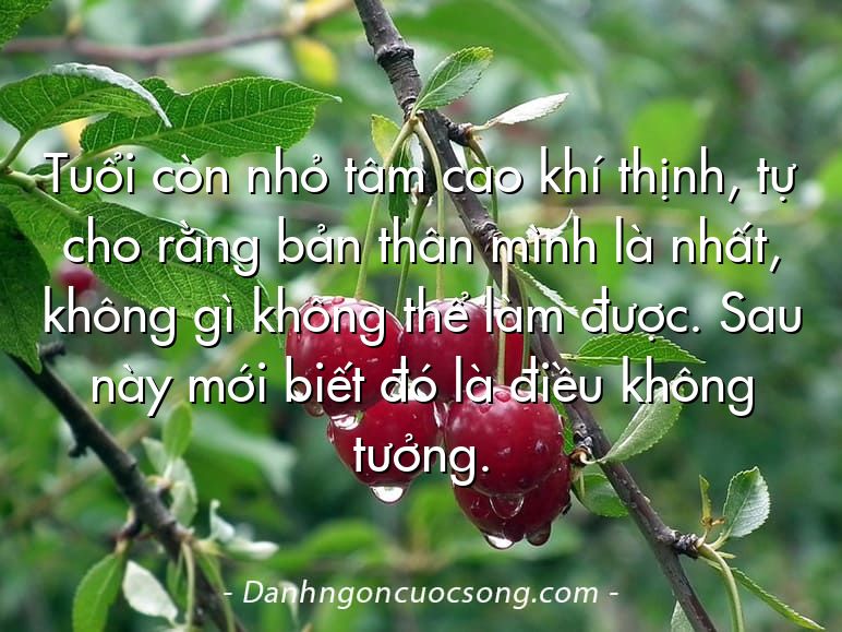 Tuổi còn nhỏ tâm cao khí thịnh, tự cho rằng bản thân mình là nhất, không gì không thể làm được. Sau này mới biết đó là điều không tưởng.