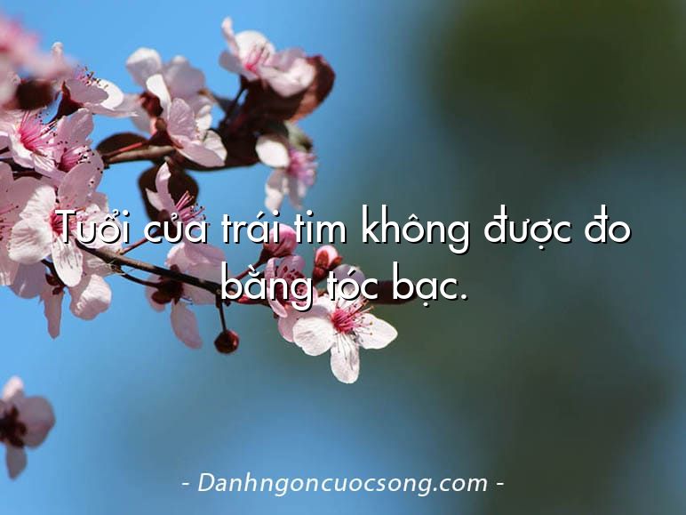 Tuổi của trái tim không được đo bằng tóc bạc.