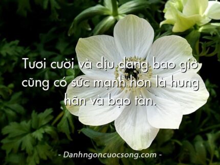Tươi cười và dịu dàng bao giờ cũng có sức mạnh hơn là hung hãn và bạo tàn.