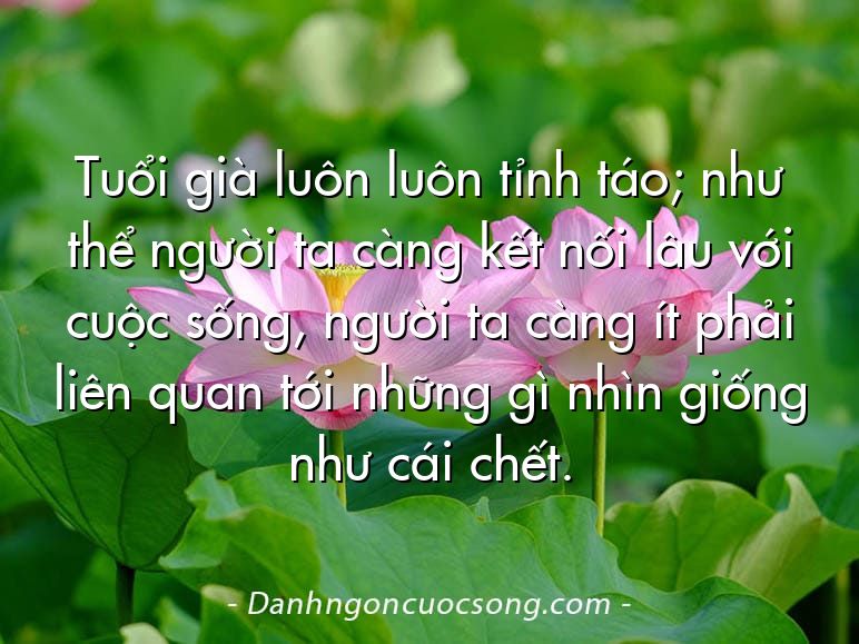 Tuổi già luôn luôn tỉnh táo; như thể người ta càng kết nối lâu với cuộc sống, người ta càng ít phải liên quan tới những gì nhìn giống như cái chết.