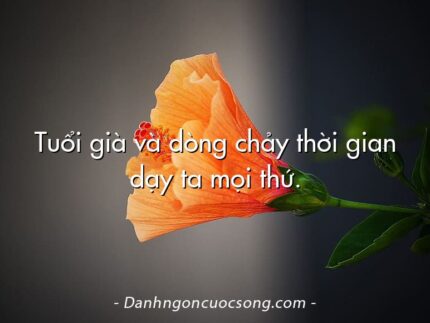 Tuổi già và dòng chảy thời gian dạy ta mọi thứ.