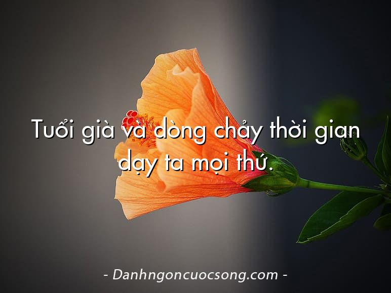 Tuổi già và dòng chảy thời gian dạy ta mọi thứ.