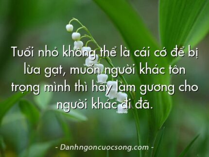 Tuổi nhỏ không thể là cái cớ để bị lừa gạt, muốn người khác tôn trọng mình thì hãy làm gương cho người khác đi đã.