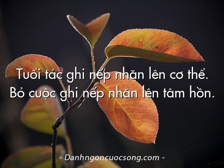 Tuổi tác ghi nếp nhăn lên cơ thể. Bỏ cuộc ghi nếp nhăn lên tâm hồn.