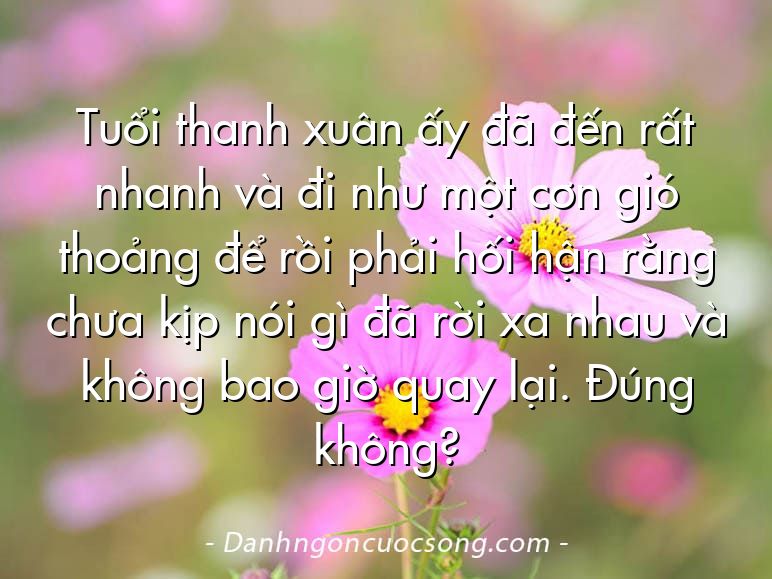 Tuổi thanh xuân ấy đã đến rất nhanh và đi như một cơn gió thoảng để rồi phải hối hận rằng chưa kịp nói gì đã rời xa nhau và không bao giờ quay lại. Đúng không?
