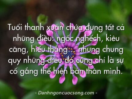 Tuổi thanh xuân chứa đựng tất cả những điều: ngốc nghếch, kiêu căng, hiếu thắng… nhưng chung quy những điều đó cũng chỉ là sự cố gắng thể hiện bản thân mình.