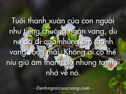 Tuổi thanh xuân của con người như tiếng chuông ngân vang, dù nó đã đi qua những âm thanh vang vọng mãi. Không ai có thể níu giữ âm thanh đó nhưng ta mãi nhớ về nó.