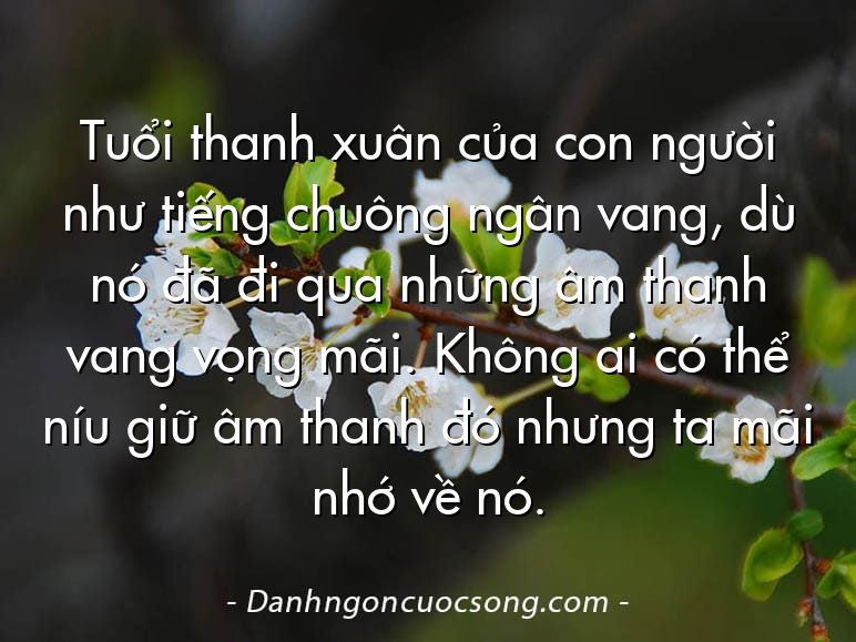 Tuổi thanh xuân của con người như tiếng chuông ngân vang, dù nó đã đi qua những âm thanh vang vọng mãi. Không ai có thể níu giữ âm thanh đó nhưng ta mãi nhớ về nó.
