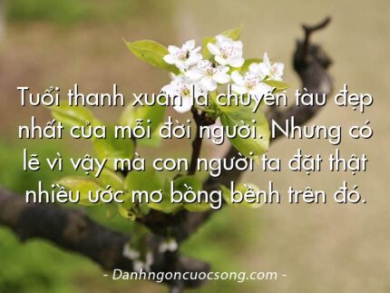 Tuổi thanh xuân là chuyến tàu đẹp nhất của mỗi đời người. Nhưng có lẽ vì vậy mà con người ta đặt thật nhiều ước mơ bồng bềnh trên đó.