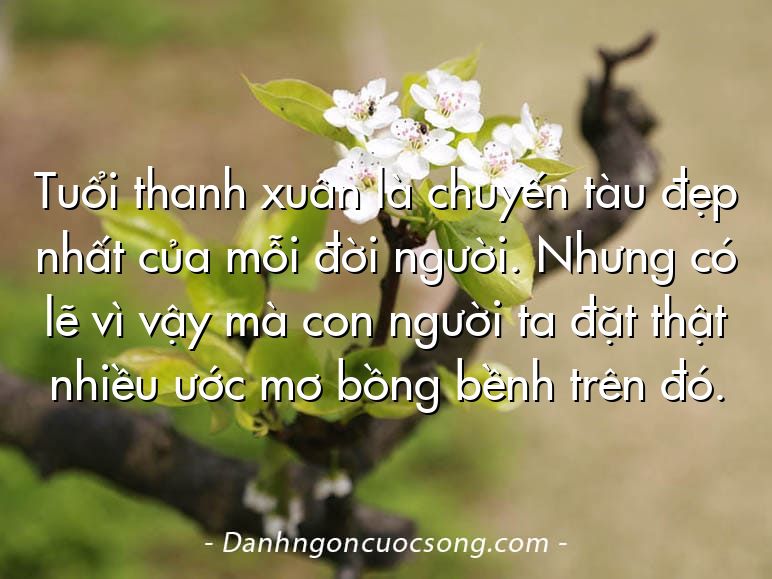 Tuổi thanh xuân là chuyến tàu đẹp nhất của mỗi đời người. Nhưng có lẽ vì vậy mà con người ta đặt thật nhiều ước mơ bồng bềnh trên đó.