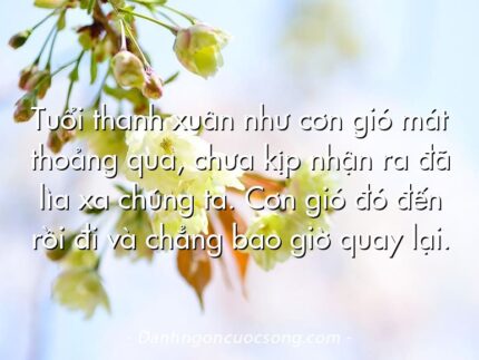 Tuổi thanh xuân như cơn gió mát thoảng qua, chưa kịp nhận ra đã lìa xa chúng ta. Cơn gió đó đến rồi đi và chẳng bao giờ quay lại.
