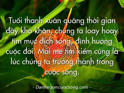 Tuổi thanh xuân quãng thời gian đầy khó khăn, chúng ta loay hoay tìm mục đích sống, định hướng cuộc đời. Mải mê tìm kiếm cũng là lúc chúng ta trưởng thành trong cuộc sống.