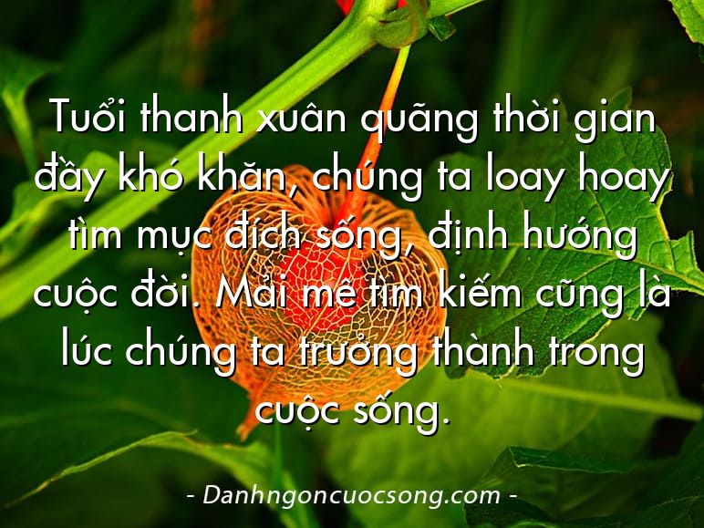 Tuổi thanh xuân quãng thời gian đầy khó khăn, chúng ta loay hoay tìm mục đích sống, định hướng cuộc đời. Mải mê tìm kiếm cũng là lúc chúng ta trưởng thành trong cuộc sống.