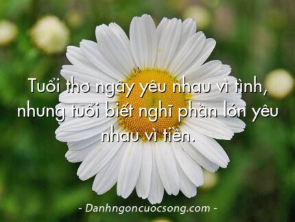 Tuổi thơ ngây yêu nhau vì tình, nhưng tuổi biết nghĩ phần lớn yêu nhau vì tiền.
