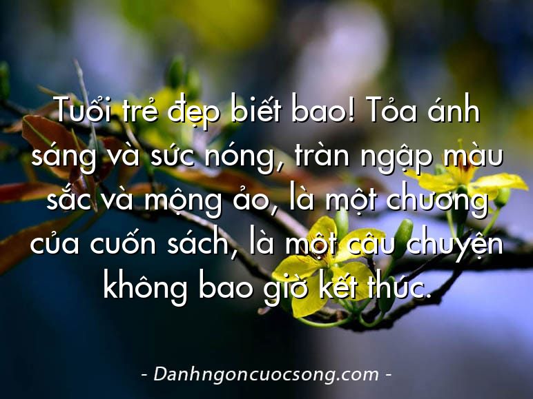 Tuổi trẻ đẹp biết bao! Tỏa ánh sáng và sức nóng, tràn ngập màu sắc và mộng ảo, là một chương của cuốn sách, là một câu chuyện không bao giờ kết thúc.