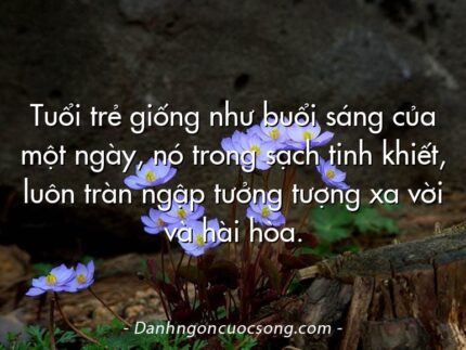 Tuổi trẻ giống như buổi sáng của một ngày, nó trong sạch tinh khiết, luôn tràn ngập tưởng tượng xa vời và hài hòa.