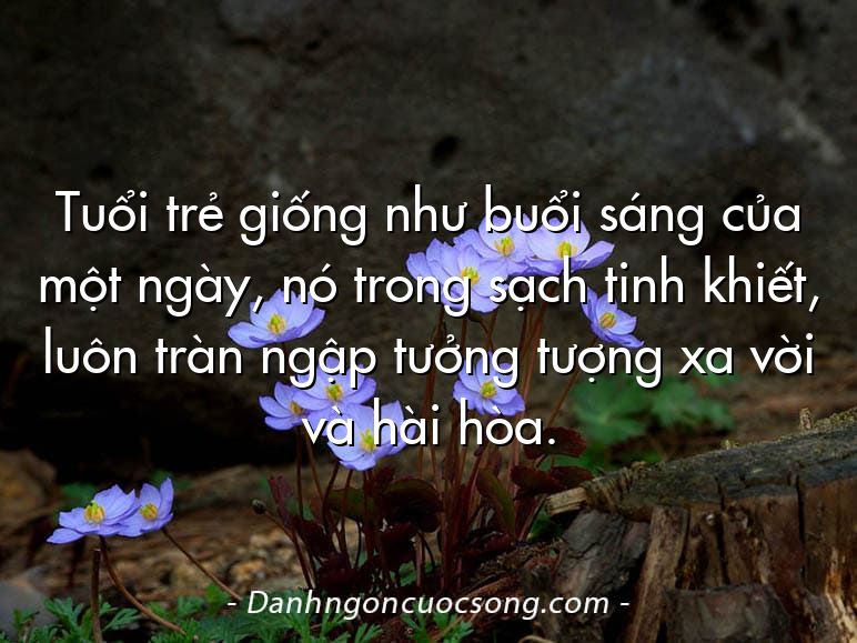 Tuổi trẻ giống như buổi sáng của một ngày, nó trong sạch tinh khiết, luôn tràn ngập tưởng tượng xa vời và hài hòa.