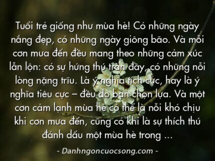 Tuổi trẻ giống như mùa hè! Có những ngày nắng đẹp, có những ngày giông bão. Và mỗi cơn mưa đến đều mang theo những cảm xúc lẫn lộn: có sự hứng thú tràn đầy, có những nỗi lòng nặng trĩu. Là ý nghĩa tích cực, hay là ý nghĩa tiêu cực – đều do bạn chọn lựa. Và một cơn cảm lạnh mùa hè có thể là nỗi khó chịu khi cơn mưa đến, cũng có khi là sự thích thú đánh dấu một mùa hè trong đời.