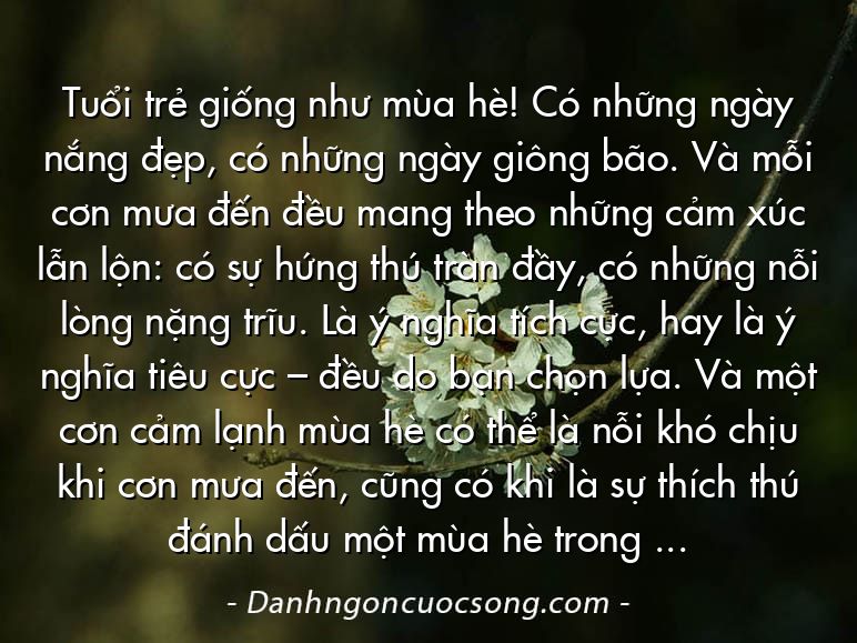 Tuổi trẻ giống như mùa hè! Có những ngày nắng đẹp, có những ngày giông bão. Và mỗi cơn mưa đến đều mang theo những cảm xúc lẫn lộn: có sự hứng thú tràn đầy, có những nỗi lòng nặng trĩu. Là ý nghĩa tích cực, hay là ý nghĩa tiêu cực – đều do bạn chọn lựa. Và một cơn cảm lạnh mùa hè có thể là nỗi khó chịu khi cơn mưa đến, cũng có khi là sự thích thú đánh dấu một mùa hè trong đời.