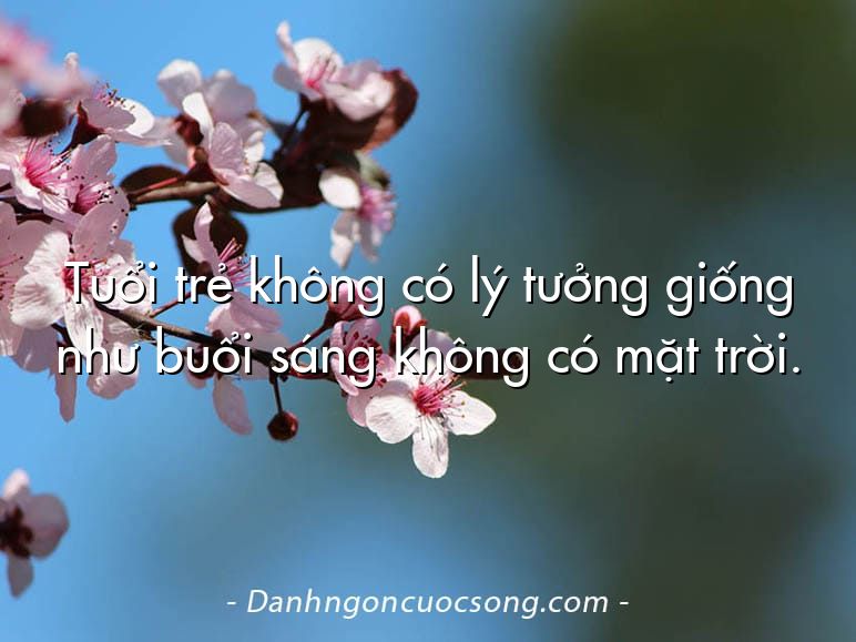 Tuổi trẻ không có lý tưởng giống như buổi sáng không có mặt trời.