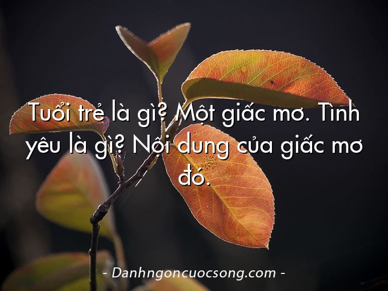 Tuổi trẻ là gì? Một giấc mơ. Tình yêu là gì? Nội dung của giấc mơ đó.