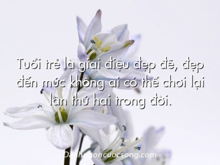 Tuổi trẻ là giai điệu đẹp đẽ, đẹp đến mức không ai có thể chơi lại lần thứ hai trong đời.