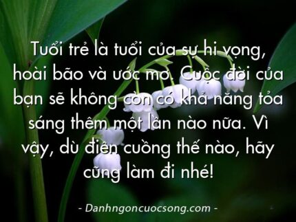 Tuổi trẻ là tuổi của sự hi vọng, hoài bão và ước mơ. Cuộc đời của bạn sẽ không còn có khả năng tỏa sáng thêm một lần nào nữa. Vì vậy, dù điên cuồng thế nào, hãy cũng làm đi nhé!