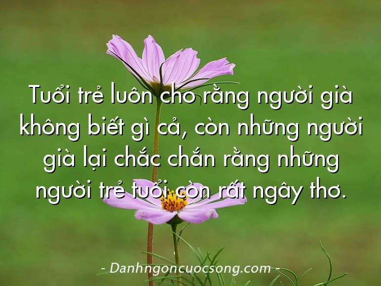 Tuổi trẻ luôn cho rằng người già không biết gì cả, còn những người già lại chắc chắn rằng những người trẻ tuổi còn rất ngây thơ.