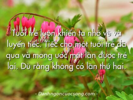 Tuổi trẻ luôn khiến ta nhớ về và luyến tiếc. Tiếc cho một tuổi trẻ đã qua và mong ước một lần được trẻ lại. Dù rằng không có lần thứ hai.