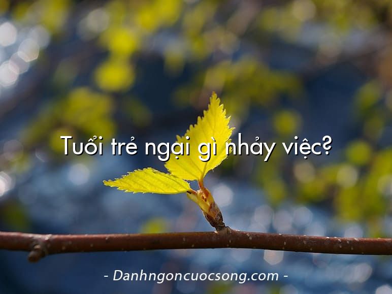 Tuổi trẻ ngại gì nhảy việc?