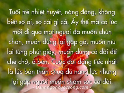 Tuổi trẻ nhiệt huyết, năng động, không biết sợ ai, sợ cái gì cả. Ấy thế mà có lúc mới đi qua một người đã muốn chùn chân, muốn dừng lại gặp gỡ, muốn níu lại từng phút giây, muốn dùng cả đời để che chở, ở bên. Cuộc đời đáng tiếc nhất là lúc bản thân chưa đủ năng lực nhưng lại gặp người muốn chăm sóc cả đời.