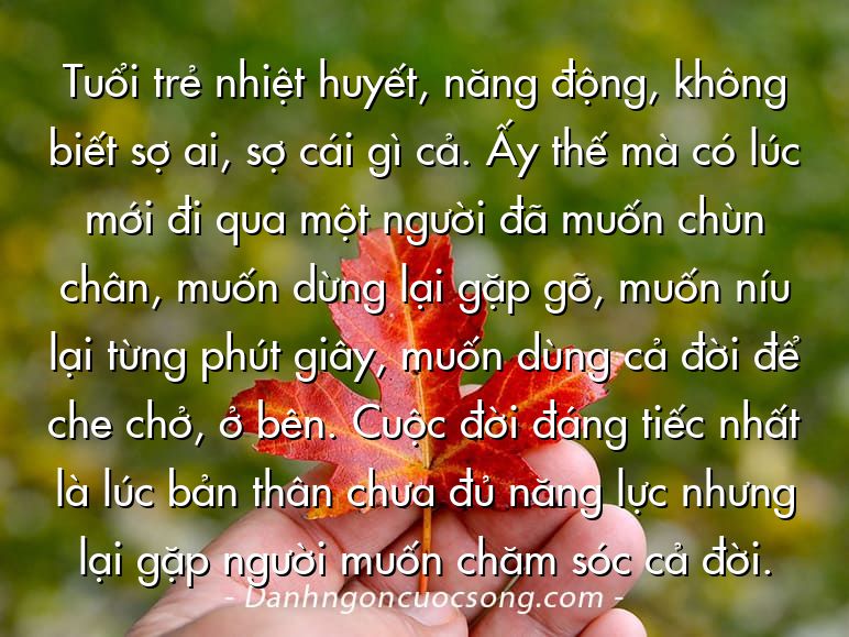 Tuổi trẻ nhiệt huyết, năng động, không biết sợ ai, sợ cái gì cả. Ấy thế mà có lúc mới đi qua một người đã muốn chùn chân, muốn dừng lại gặp gỡ, muốn níu lại từng phút giây, muốn dùng cả đời để che chở, ở bên. Cuộc đời đáng tiếc nhất là lúc bản thân chưa đủ năng lực nhưng lại gặp người muốn chăm sóc cả đời.