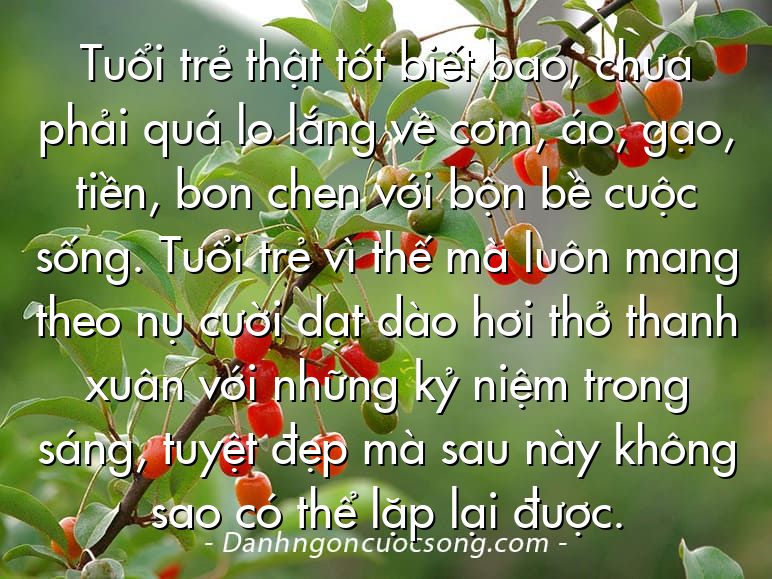 Tuổi trẻ thật tốt biết bao, chưa phải quá lo lắng về cơm, áo, gạo, tiền, bon chen với bộn bề cuộc sống. Tuổi trẻ vì thế mà luôn mang theo nụ cười dạt dào hơi thở thanh xuân với những kỷ niệm trong sáng, tuyệt đẹp mà sau này không sao có thể lặp lại được.