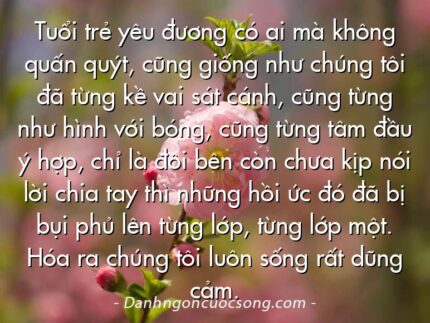 Tuổi trẻ yêu đương có ai mà không quấn quýt, cũng giống như chúng tôi đã từng kề vai sát cánh, cũng từng như hình với bóng, cũng từng tâm đầu ý hợp, chỉ là đôi bên còn chưa kịp nói lời chia tay thì những hồi ức đó đã bị bụi phủ lên từng lớp, từng lớp một. Hóa ra chúng tôi luôn sống rất dũng cảm.