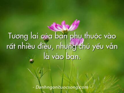 Tương lai của bạn phụ thuộc vào rất nhiều điều, nhưng chủ yếu vẫn là vào bạn.