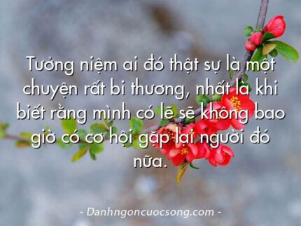 Tưởng niệm ai đó thật sự là một chuyện rất bi thương, nhất là khi biết rằng mình có lẽ sẽ không bao giờ có cơ hội gặp lại người đó nữa.