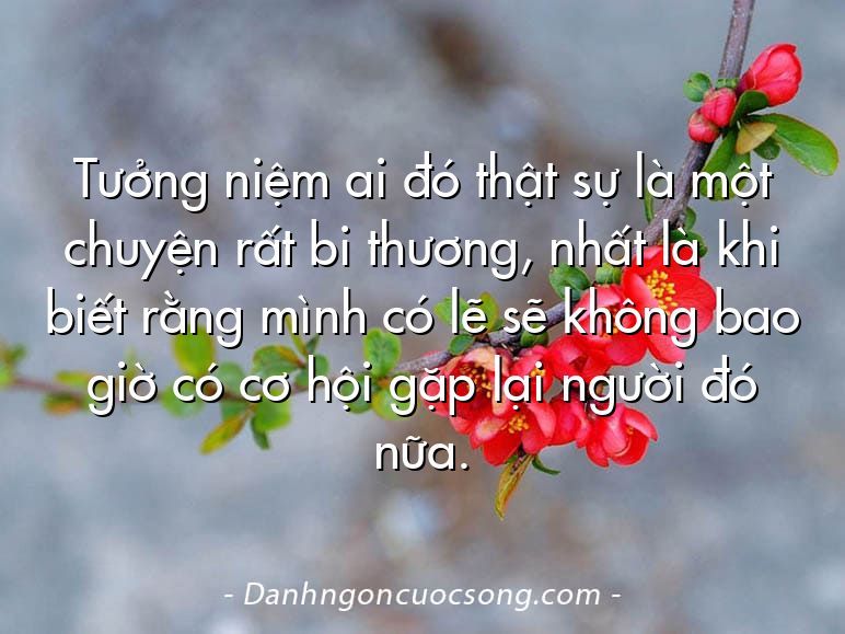 Tưởng niệm ai đó thật sự là một chuyện rất bi thương, nhất là khi biết rằng mình có lẽ sẽ không bao giờ có cơ hội gặp lại người đó nữa.