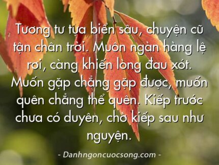 Tương tư tựa biển sâu, chuyện cũ tận chân trời. Muôn ngàn hàng lệ rơi, càng khiến lòng đau xót. Muốn gặp chẳng gặp được, muốn quên chẳng thể quên. Kiếp trước chưa có duyên, chờ kiếp sau như nguyện.