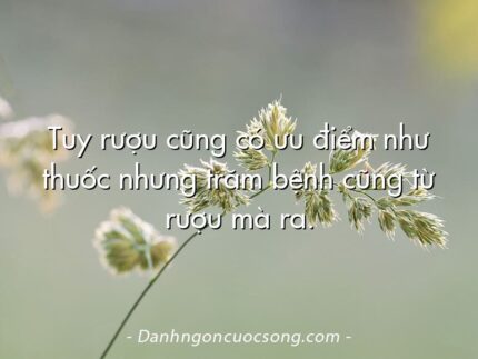 Tuy rượu cũng có ưu điểm như thuốc nhưng trăm bệnh cũng từ rượu mà ra.