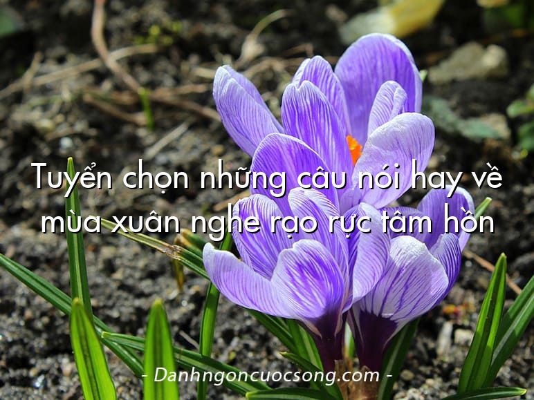 Tuyển chọn những câu nói hay về mùa xuân nghe rạo rực tâm hồn