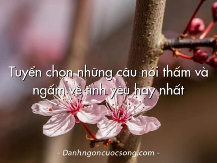 Tuyển chọn những câu nói thấm và ngấm về tình yêu hay nhất