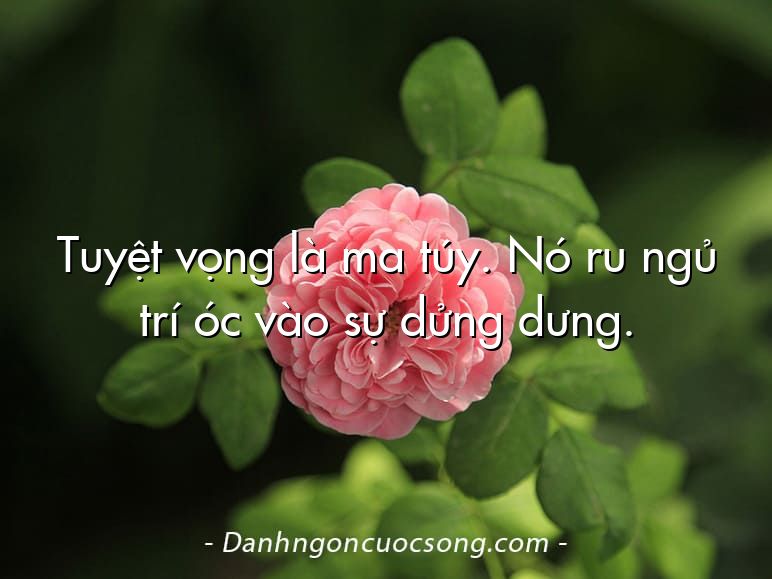 Tuyệt vọng là ma túy. Nó ru ngủ trí óc vào sự dửng dưng.