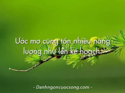 Ước mơ cũng tốn nhiều năng lượng như lên kế hoạch.
