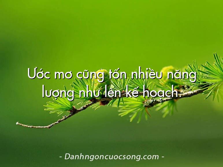 Ước mơ cũng tốn nhiều năng lượng như lên kế hoạch.