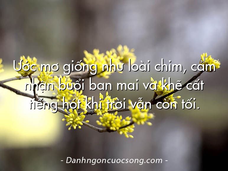 Ước mơ giống như loài chim, cảm nhận buổi ban mai và khẽ cất tiếng hót khi trời vẫn còn tối.
